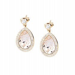 Acheter Boucles d'Oreilles Femme Brosway Tear BTX22