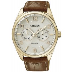 Acheter Montre Homme Citizen Metropolitan Eco-Drive AO9024-16A Multifonction