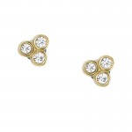 Fossil Damenohrringe Sadie JF04110710 Bild von Fossil Damenohrringe Sadie JF04110710