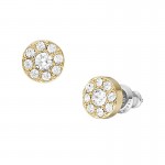 Fossil Damenohrringe Jewelry JF04375710 Bild von Fossil Damenohrringe Jewelry JF04375710